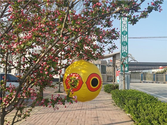 驅鳥氣球