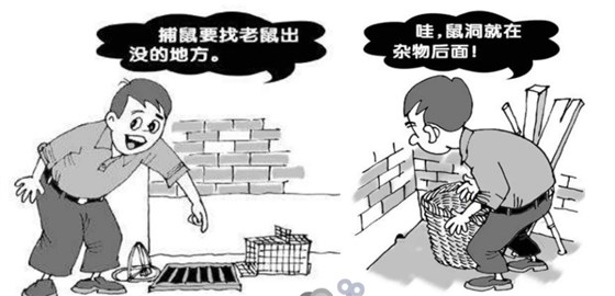 老鼠夾撲鼠器這樣放，老鼠更容易上當(dāng)