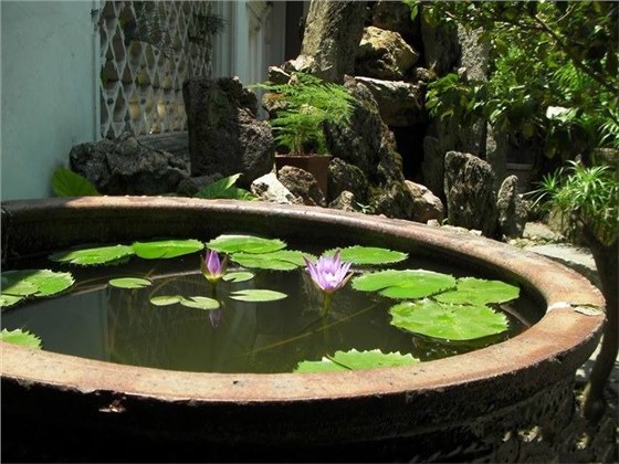 據(jù)工廠滅蠅燈廠家調(diào)查，如果去除溪澗的樹叢或灌木叢，使這類積水暴露于陽光之下，就能避免這種按蚊孳生