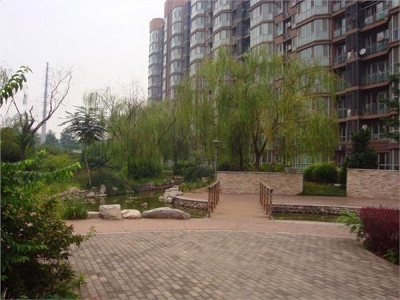 捕鼠器批發(fā)廠家分享應(yīng)對小區(qū)鼠害的方法