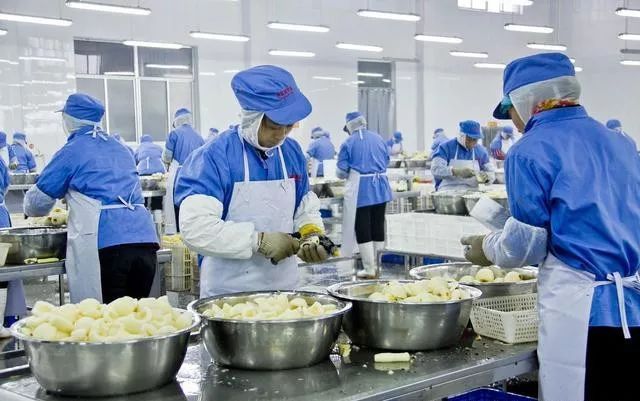 食品加工廠外環(huán)境放毒餌站有什么要求？